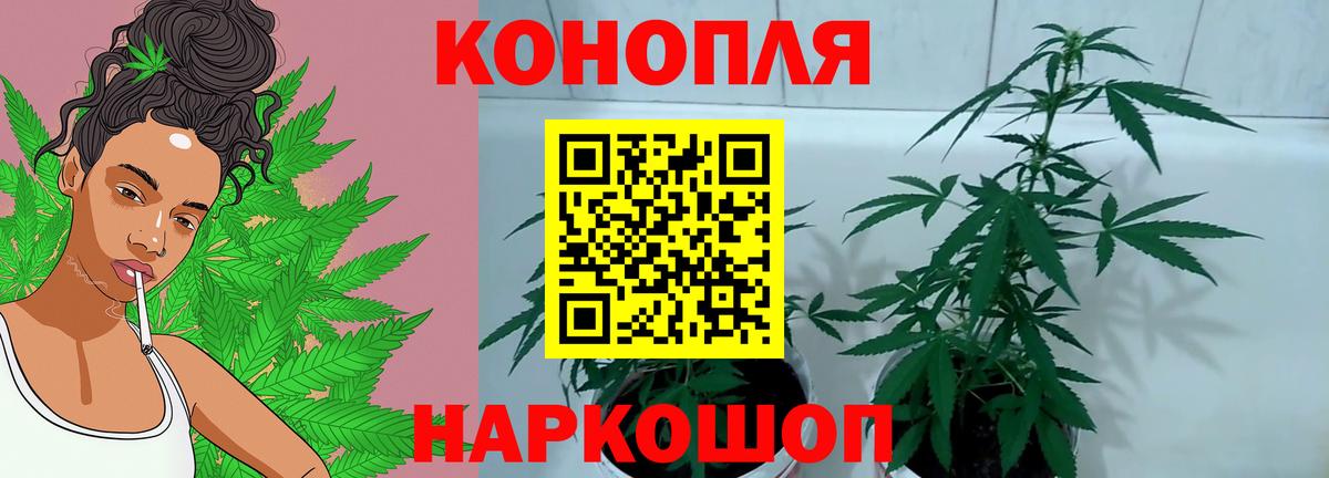 Марихуана индика  МАРИХУАНА THC 21%  Вышний Волочёк  Марихуана OG Kush  Вход с VPN 